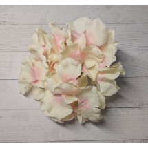 Гортензия 15 см цв. молочно-розовый, цена за пучок